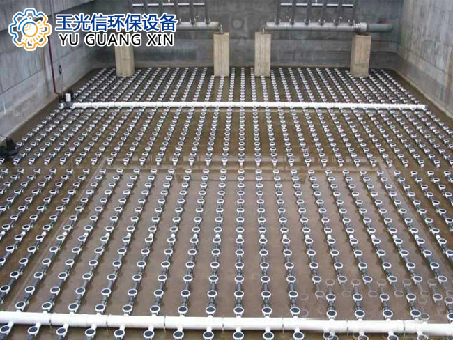 1618148957191192.jpg 2-1.jpg